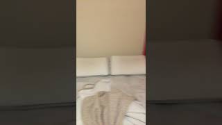 The Troll Who Lives Under The Bridge