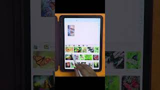How to drag and drop images in ipad ? #shorts #ipad #draganddrop #copypaste