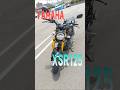XSR125の性能を1分で超簡単にご紹介