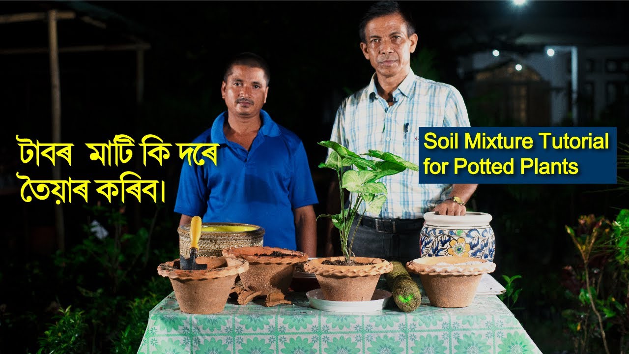 টাবৰ  মাটি কি দৰে তৈয়াৰ কৰিব। Soil Mixture Tutorial for Potted Plants | Parijat Nursery Jorhat