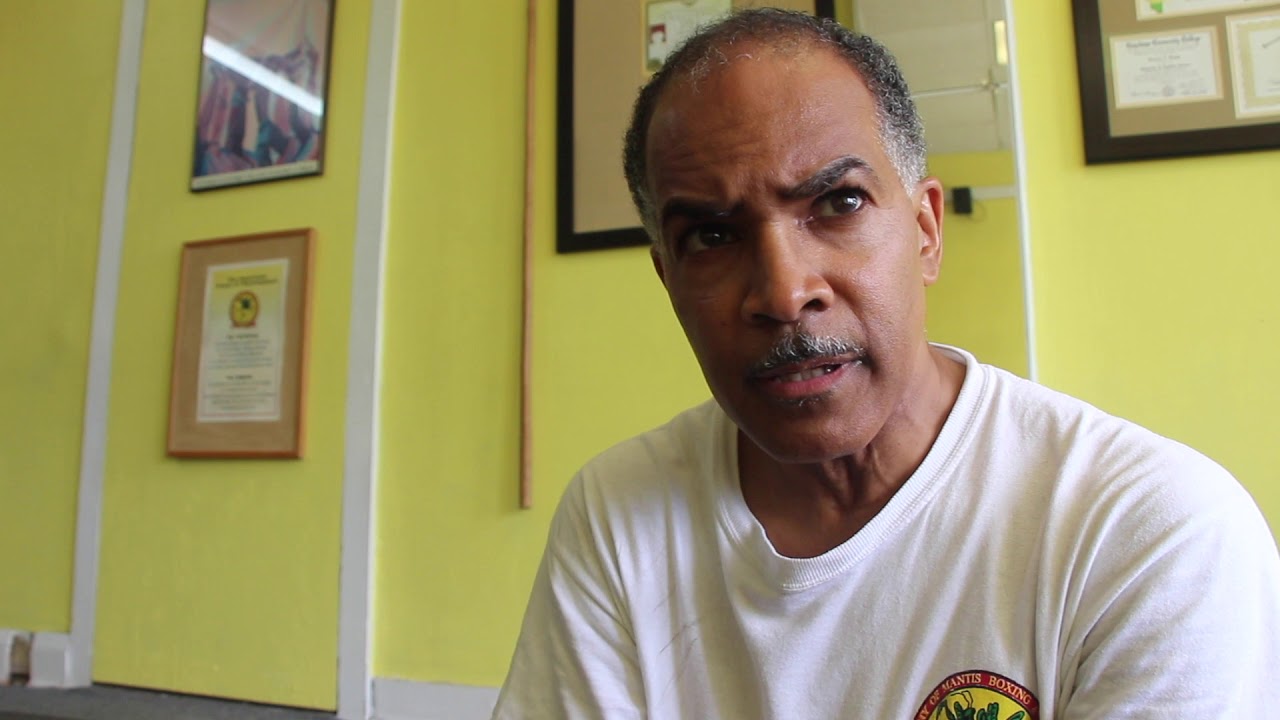 The Raw Truth About Academy of Mantis Boxing & Tai Chi