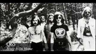 ☞ Q65 ✩ Bring It On Home 1966 (W. Dixon) [Full Track]