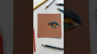 My first time using pastelmat with coloured pencils and I’m a fan 😍✍🏼 #coloredpencil #pastelmat