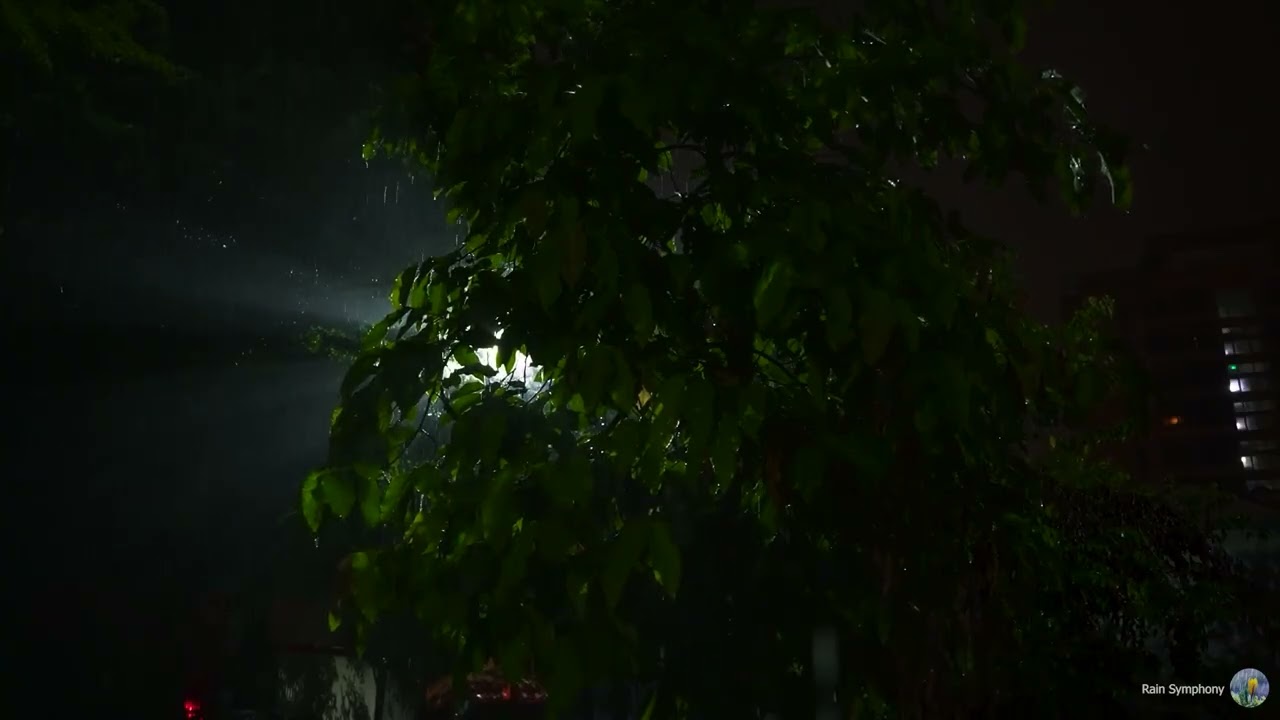 Relaxing Rain Sounds at Night for Sleep & Meditation – Peaceful Ambience, No Interruptions