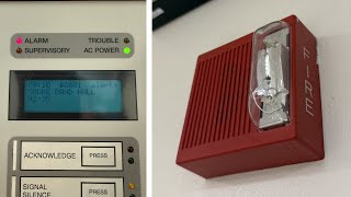 2026 Rare Harrington Fire Alarm Test 1