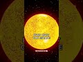 The Black Hole Myth: What the Event Horizon REALLY Is! #Shorts