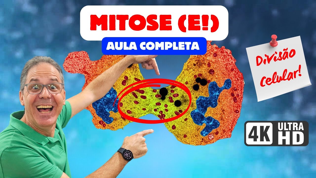 MITOSE: Fases, Divisão Celular e Eventos - AULA COMPLETA | Ciência Traduzida com Professor Hilton