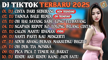 DJ TIKTOK TERBARU 2025 | DJ CINTA DARI SEBERANG🎵DJ TABOLA BALE REMIX🎵| FULL ALBUM