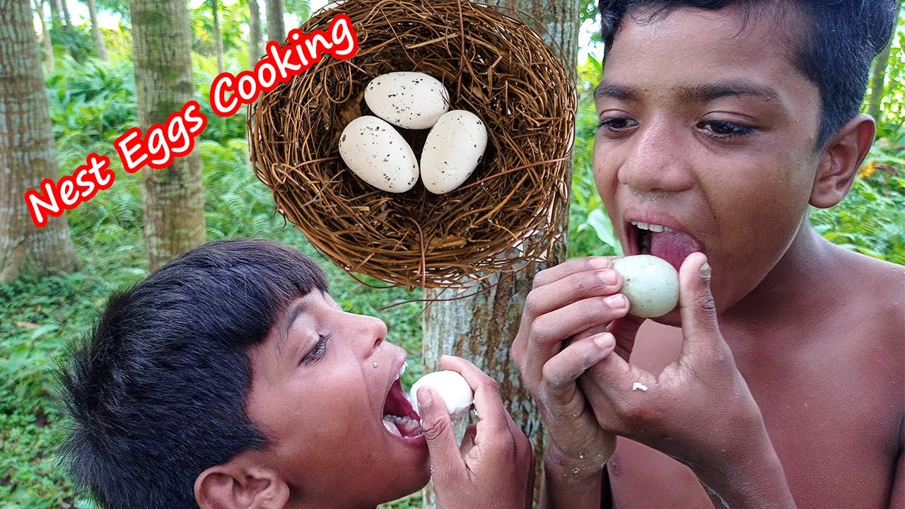 primitive cooking  - Eating delicious  - Cooking bird eggs