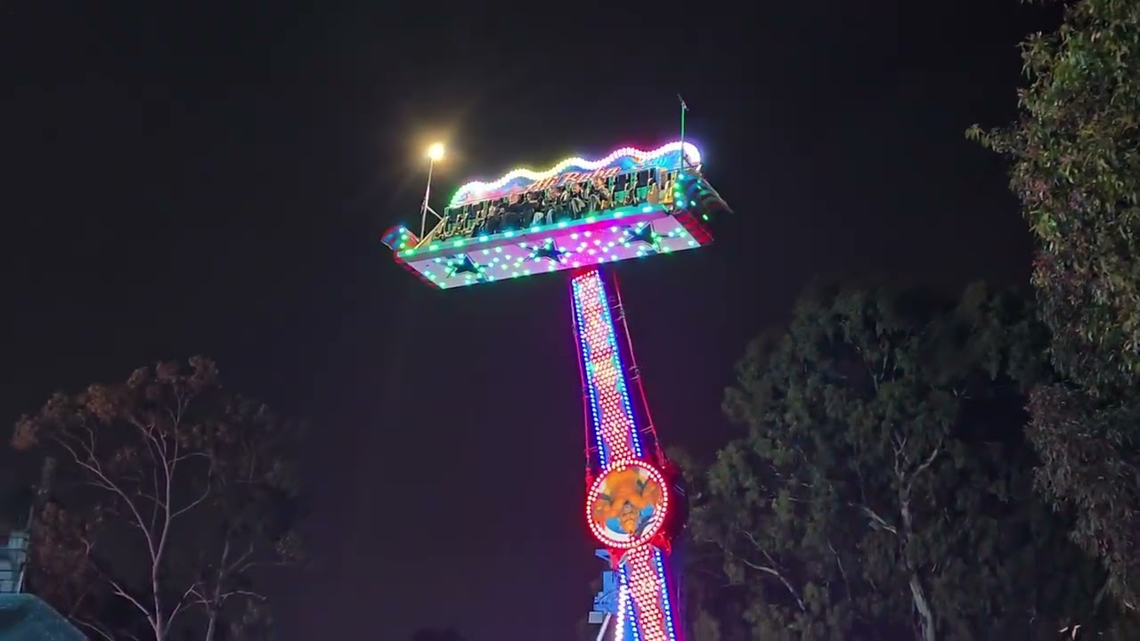 Royal Adelaide Show - Cake decorating competition and show rides