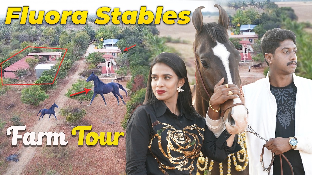 😲 Роскошный тур на конную ферму Марвари | Конюшни Fluora, Карнатака | DR6 Inspires | Тур на конну...