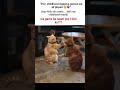 memories u#comedy #funny #cute #memes