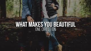 What makes you beautiful • One Direction • (Sub. Español)
