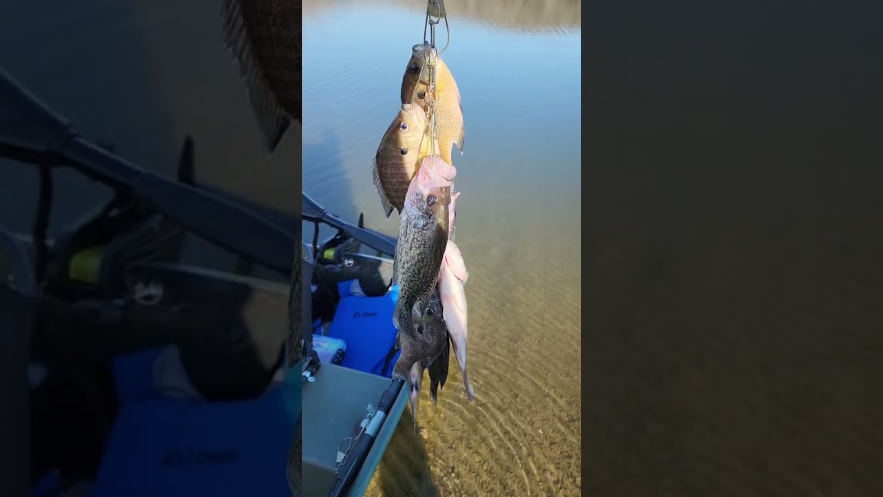 Сегодня собрана добыча!! 