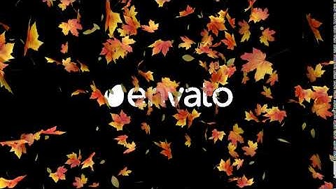 Falling Maple Leaves | Motion Graphics - Envato elements