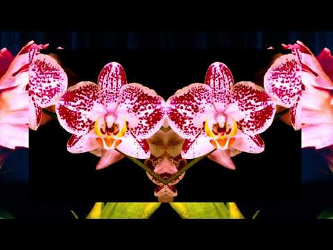 SpunOff — SpunOff-Luminance