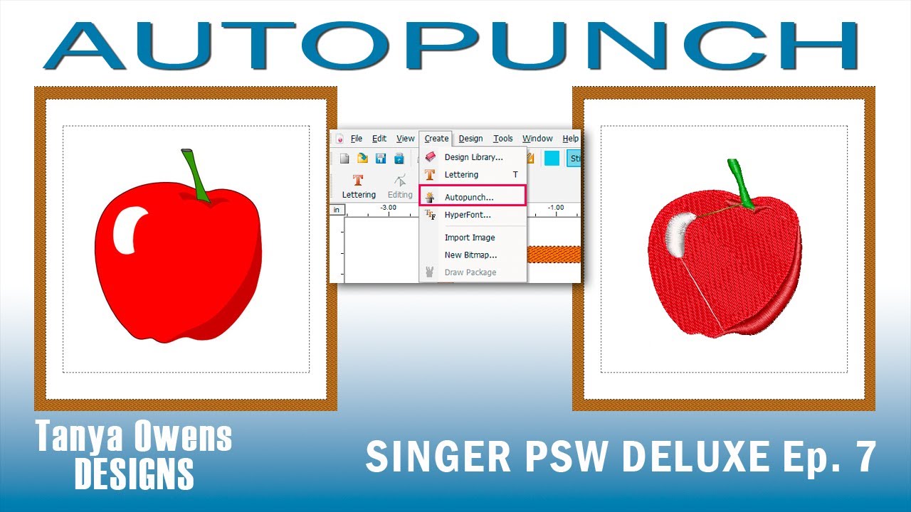 Singer futura auto punch software lasemstate