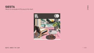 Flneur U0026 Marsquake U0026 Phlocalyst U0026 No Spirit  Siesta