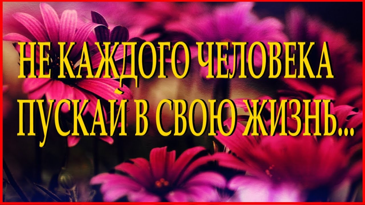 МУДРАЯ ПРИТЧА ДЛЯ РАНИМЫХ ЛЮДЕЙ Читает Леонид Юдин
