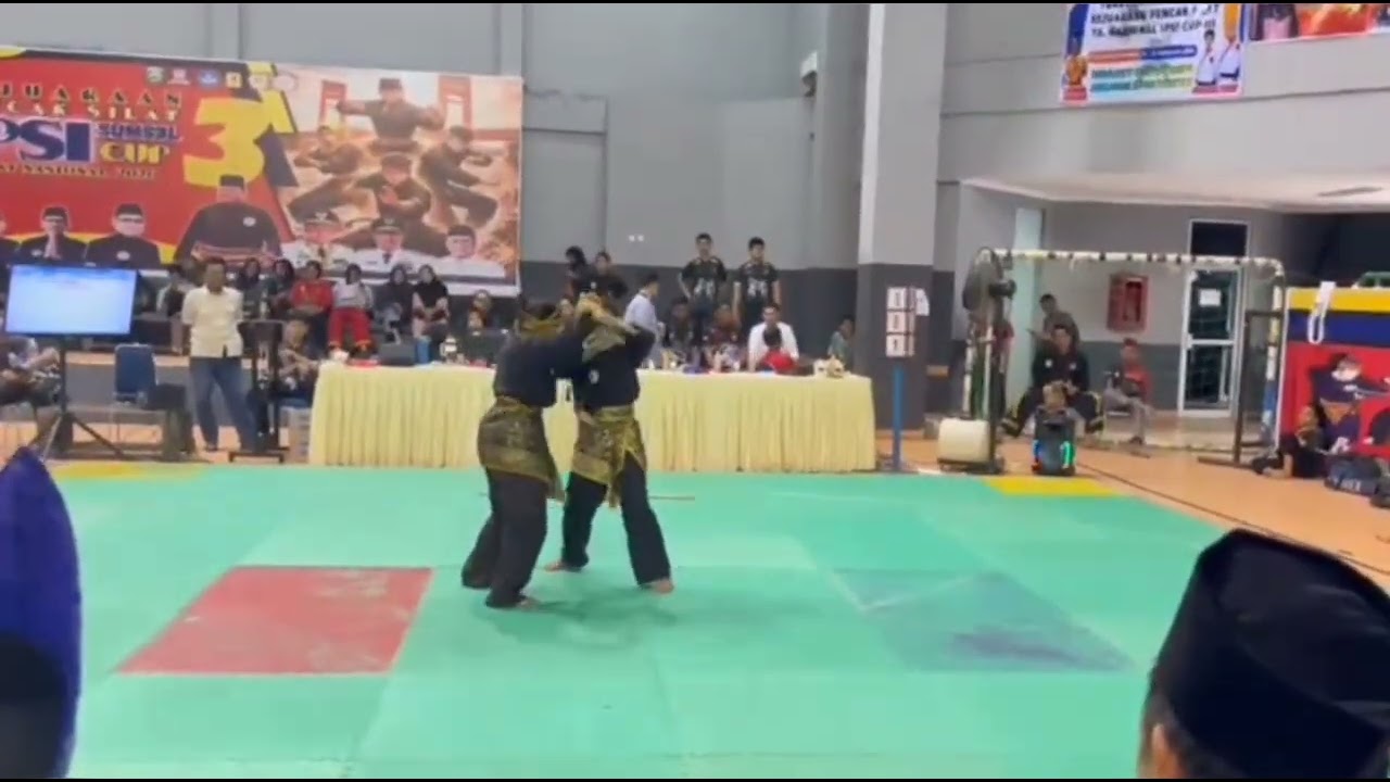 Seni Berpasangan Remaja Putri Medali Emas Kejurnas IPSI Sumsel Cup 3 #pencaksilat #senisilat #fypシ 
