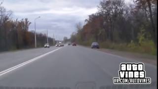 Auto Vines 61