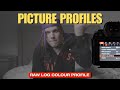 Picture Profiles Explained For Beginner Videographers