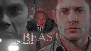 ▪ Dark multimale || BEAST [2k]