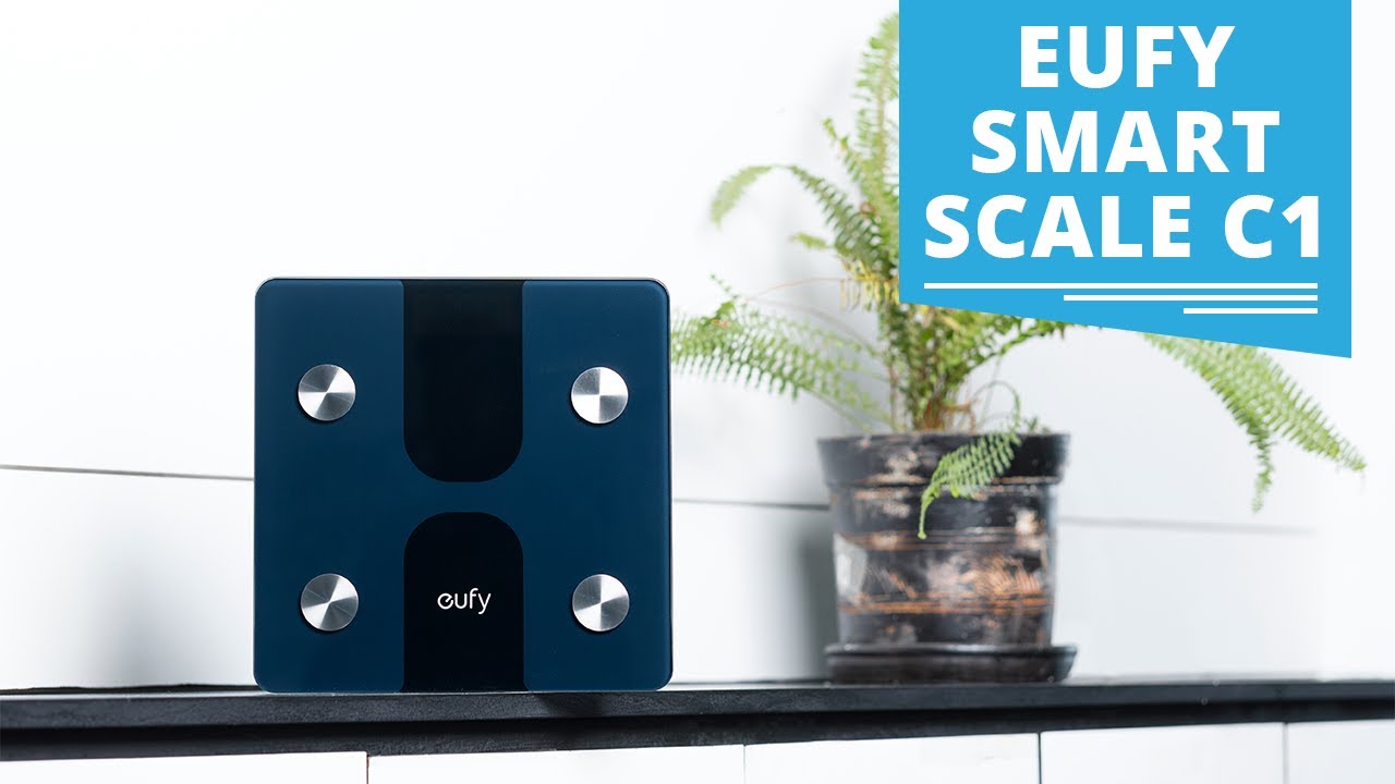 EUFY by ANKER SMART SCALE P1 REVIEW & HOW TO SETUP APP 