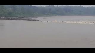 DAM srandakan jebol 3x