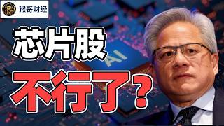猴哥财经 | 博通拖垮美光，AI芯片股不行了？ |  美股 | 投资 | 股票 | AI
