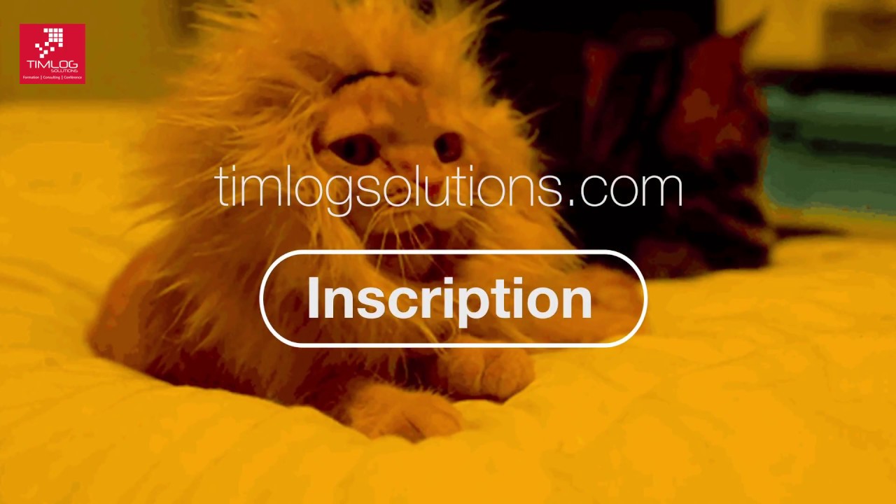 RÉPUTATION & E-RÉPUTATION Par Mahja NB