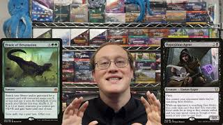 DDR#1019 - cEDH Tournament Report