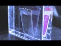 The 'Artificial Leaf'
