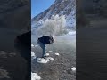 Суусамыр менин кичи мекеним Каракол суусу 