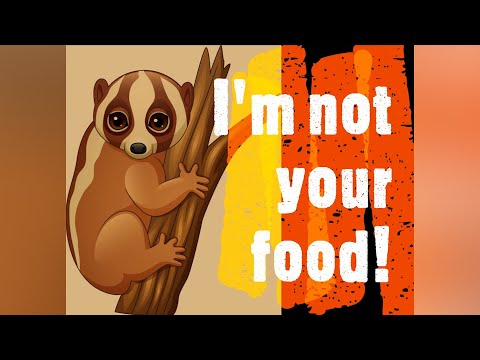 Slow Loris are not medicine!