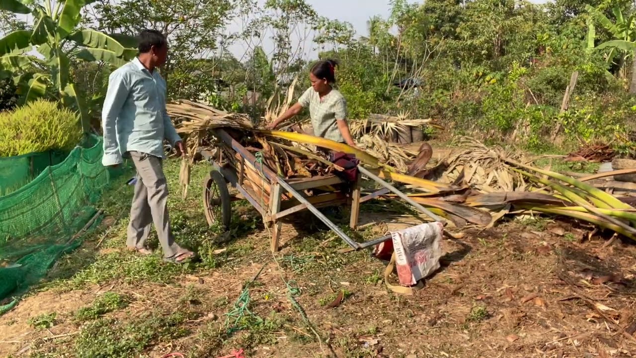Today, I’m cooking Samlor Kthis with coconut milk and vegetables