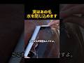 水を弾く馬の毛が 逆効果になる瞬間