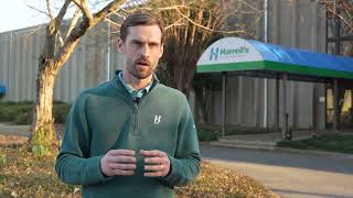 How POLYON Works
