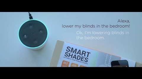 Amazon Alexa Controlled Motorized Blinds