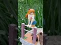 #animefigure in the garden#vairalvideo #shorts