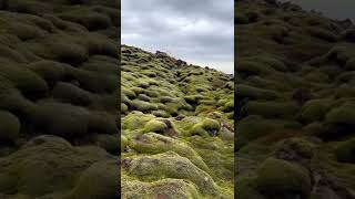 Biggest Mistake In Iceland Seriously Please Dont Do This