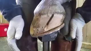 Patching a Quartercrack