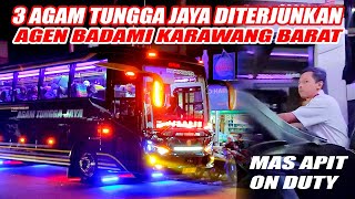 3 BUS AGAM TUNGGA JAYA DITERJUNKAN AGEN SUDIRO TUNGGA JAYA BADAMI LANGSUNG FULL HUNTING 5 APRIL 2024