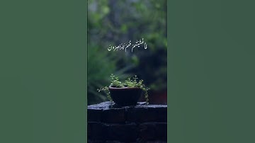 تلاوة الشيخ هيثم الدخين آيات من سورة يس.