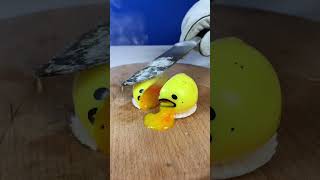 Oddly Satisfying Video #shorts #asmr #relaxing #tiktok