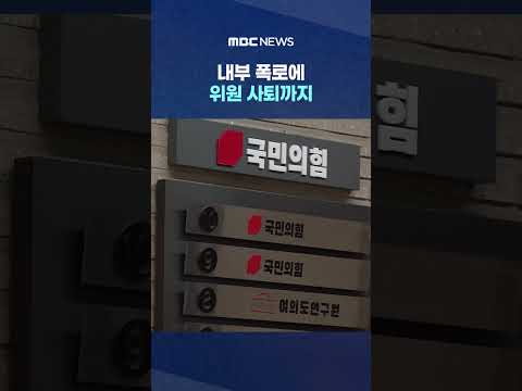국힘 윤리위원들 "위원장 독단 막으려 회의 불참"‥내부 폭로에 위원 사퇴까지 #Shorts (MBC뉴스)