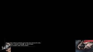 LIVE 1440p | Crimson Desert | chapter IX | Main Thread | or sidequests