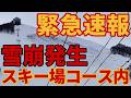 【緊急速報】スキー場コース内で700mに及ぶ大規模雪崩発生【岩原の35度の壁崩壊】スキー場ゲレンデ解説レポート