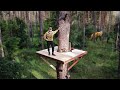 Building a cozy tree house in a wild forest  part 1