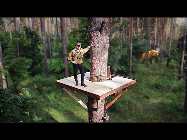 Building a cozy TREE HOUSE in a wild forest! | Part 1 class=